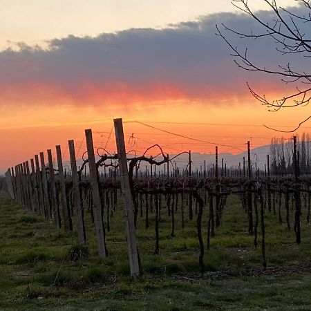 Agriturismo Richeton Villa Gaiarine Dış mekan fotoğraf