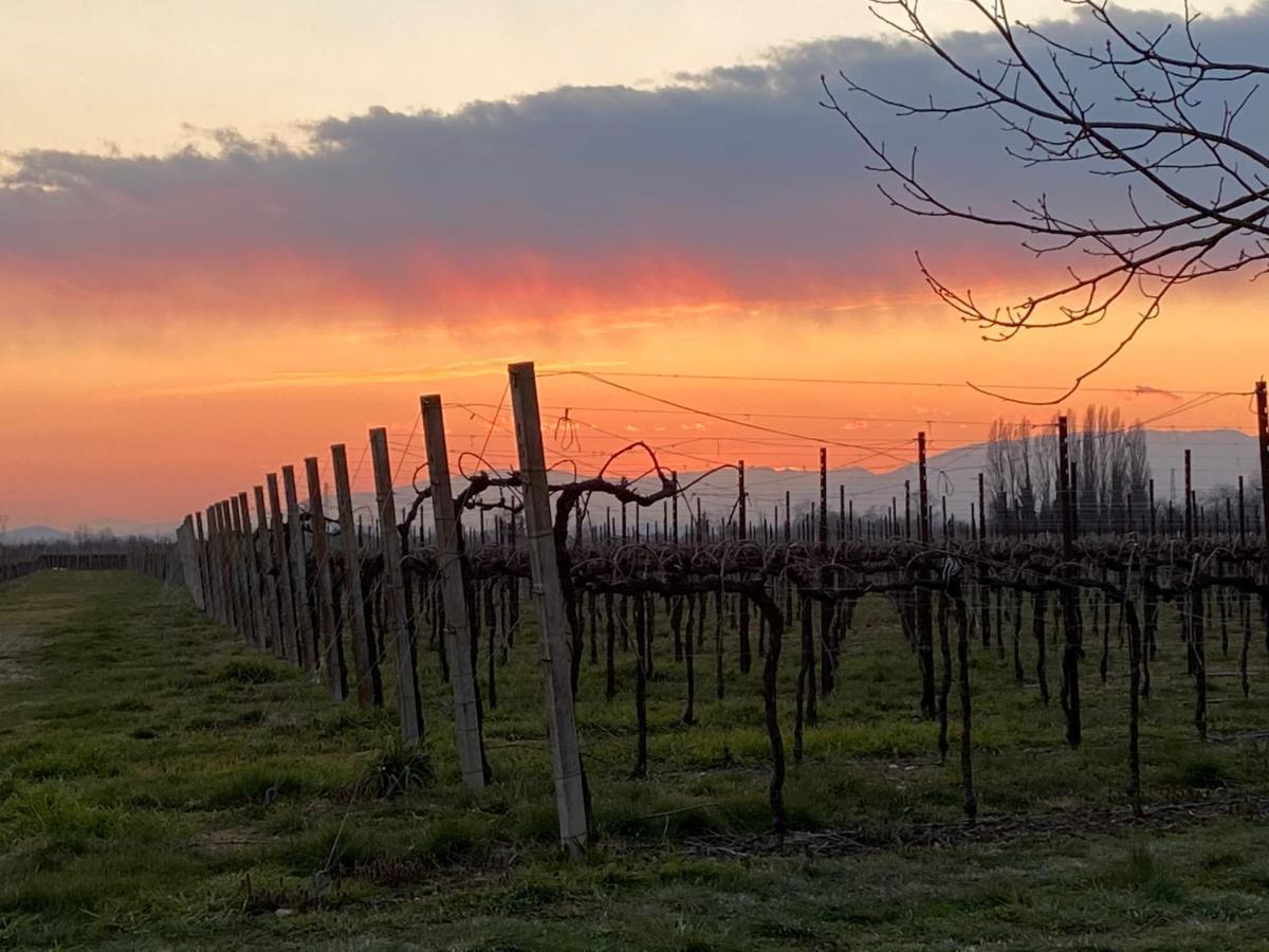 Agriturismo Richeton Villa Gaiarine Dış mekan fotoğraf